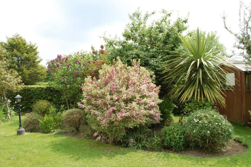 Appartamento Mews With Garden Views Carlow Esterno foto