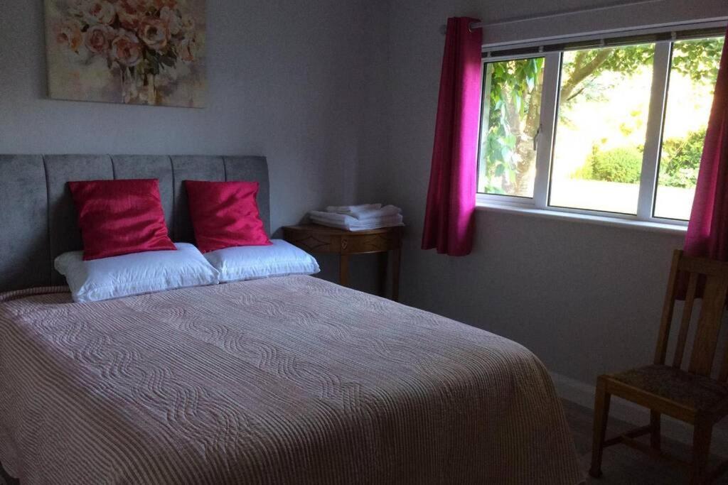 Appartamento Mews With Garden Views Carlow Esterno foto